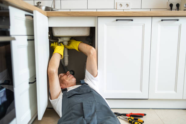 Best Commercial Plumbing Services  in Shadeland, IN